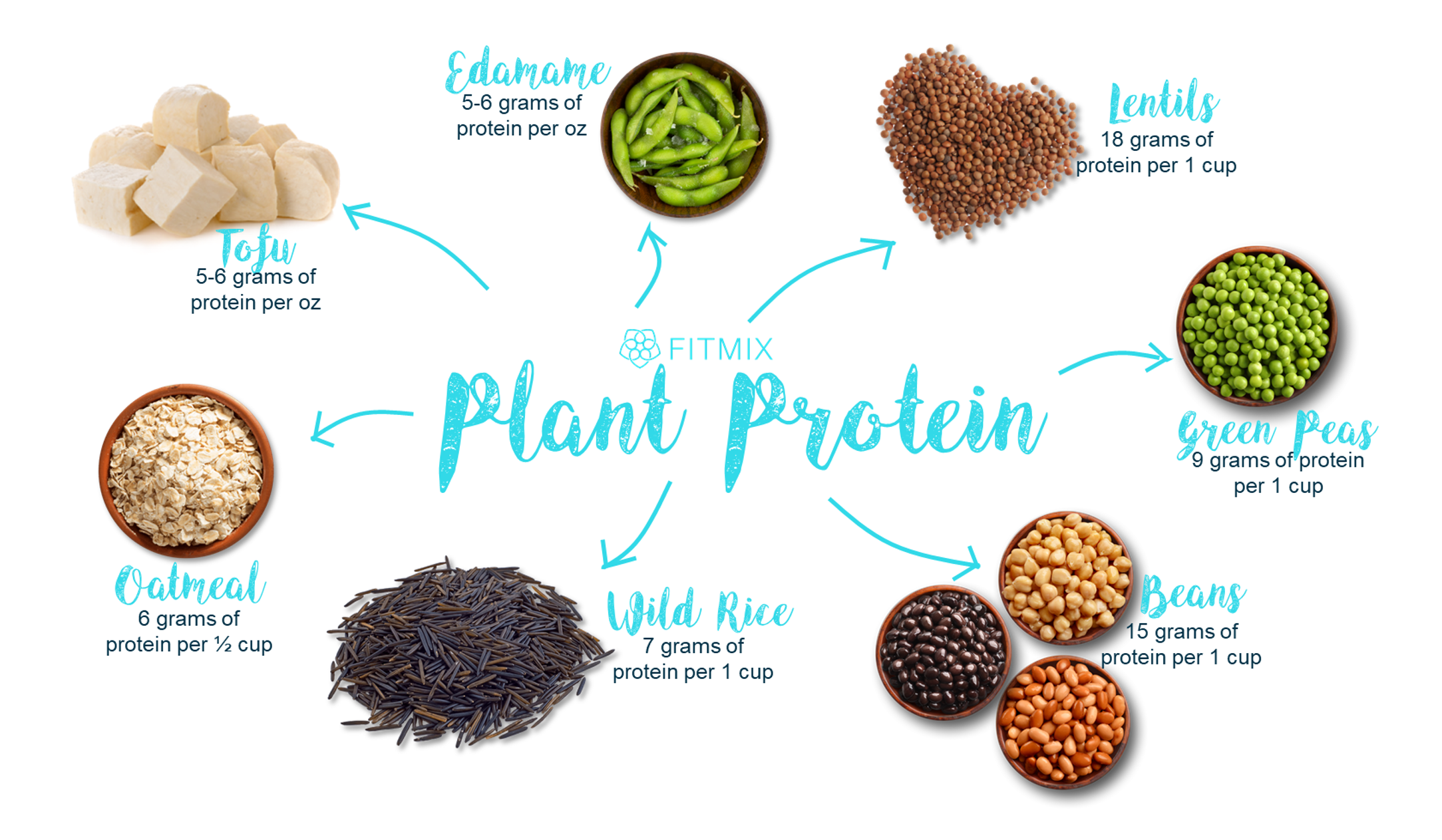 Protein In Plants