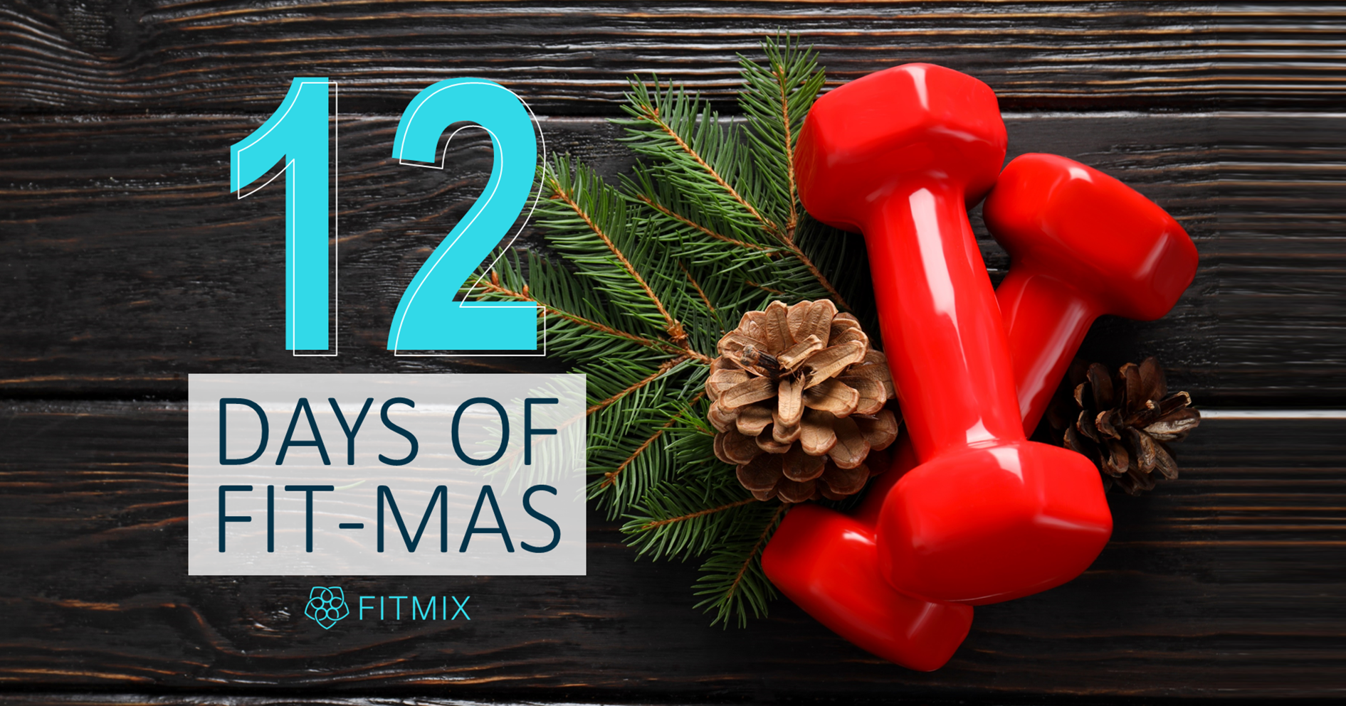 https://fitmixonline.com/assets/blogs_images/1702620371-12_days_of_Fitmas_Blog.png